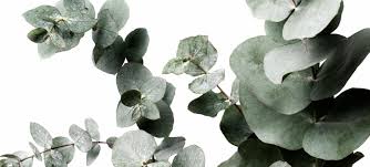 Sie sind an dieser stelle allerdings der regieassistent. Hier Entdecken Die Beliebtesten Blumen Fur Die Hochzeit