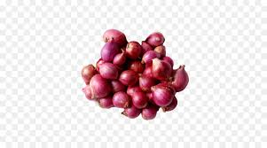 Nicepng also collects a large amount of related image material, such as null. Onion Cartoon Png Download 500 500 Free Transparent Sambar Png Download Cleanpng Kisspng