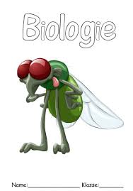 Biologie Deckblatt In 2020 Biologie Deckblatt Bio Deckblatt