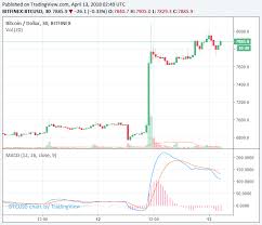 He said he wouldn't be surprised to see bitcoin prices rise to $70,000 or $80,000, nor a setback of 40%. Bitcoin Price Maintains Its 13 Gain Remains Above 7 800