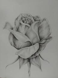 Pictures of realistic lotus flower drawings rock cafe. Rose Print In 2021 Pencil Drawings Of Flowers Roses Drawing Rose Drawing