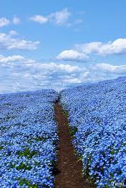 Beautiful Blue Boho Fashion Buy Chic And Classy Blue Boho Style With A Modern Twist It S What To Wear Out Beautiful Nature Beautiful Landscapes Blue Flowers
