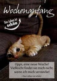 Guten Morgen Sonntag Spruche Gutenmorgensonntagspruche Gutenmorgensonntagspruche Pics Sonntag Bild Lustige Guten Morgen Spruche Katze Lustig Lustige Bilder