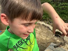 Snake cake for brother's birthday