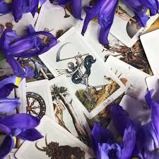 This guide will take you on a journey through the exciting universe of color. Uncovering The Meaning Of Tarot With The Pagan Otherworlds Deck Arcane Alchemy