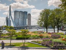 Nieuw groen energiecontract voor gemeente Rotterdam, hoe verliep aanpak  aanbesteding? - Hellemans Consultancy