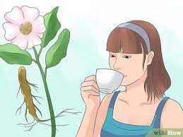 Den Busen Schneller Wachsen Lassen Wikihow