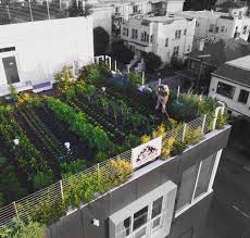 Green Roofs Soil Science Society Of America