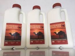 Our camels were saved from slaughter and are now living on a hillside heaven in the hunter valley, nsw. Camel Milk Nsw Muswellbrook Camel Milk Have Over Night Services To Sydney Melbourne And Brisbane Getting Fresh Camel Milk Delivered To Your Door Facebook