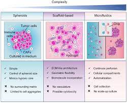 3d crete works great for sculpting, solid pours and creating natural elements like stone or wood.easy to mix and apply with the artists needs in mind! Comparison Between 3d Cell Culture Approaches For Co Culture Of Download Scientific Diagram