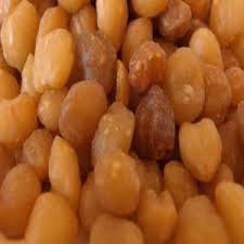 Image result for Ricinodendron