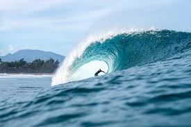 Image result for foto surfínie