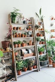 Mid Century Modern Plant Stands Ideas Inspiration Diy Wooden Indoor Pallet Outdoor Ideas Midcentur Indoor Plant Shelves Room With Plants Plant Shelves