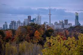 Most of them charge $2.00 per hour. 5 Secret Places In Toronto To View The Skyline