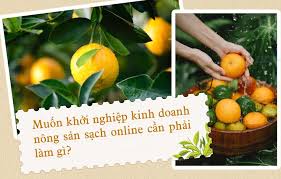 Kinh doanh nông sản sạch online - Thách thức để thành công