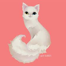 In this quick tutorial you'll learn how to draw a bengal tiger in just a few quick steps, but first… interesting facts about bengal tigers bengal tigers are the largest members of the cat family. Roy Fishes Turkish Angora Cat Cat Angora Kitty