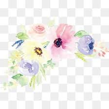 Watercolor Flower Vector Watercolor Flower Vector Free Watercolor Flowers Watercolor Flowers