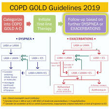 Image result for COPD Management