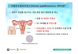 바이러스는 곰팡이나 박테리아보다도 훨씬 작고 번식(복제)하기 위해 살아있는 세포에 침투해야 하는. ê°€ë‹¤ì‹¤ Archives Castle Kafka