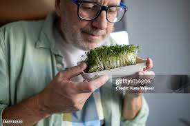 738 Kate Gardiner Stock Photos, High-Res Pictures, and Images