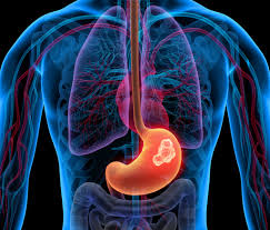 Mouth ulcers are very common and are not a surefire sign of mouth cancer. How To Prevent Stomach Cancer Gidoctor