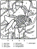 Fishing for facts 1 | 2 | 3 | 4 | 5 | 6 nextits easy to feel like youre drowning in conflicting information about fish. Fish Coloring Pages