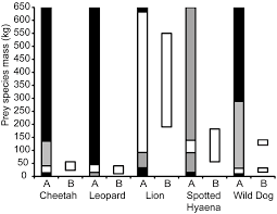 prey weight preferences of the five large african carnivores