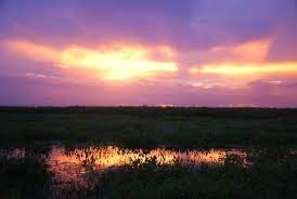 Sunset At Paynes Prairie Preserve Gainesville Fl Gainesville Florida Sunset Gainesville