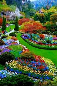 We did not find results for: Pin By Bea On Maha 5555 Most Beautiful Gardens Beautiful Gardens Beautiful Flowers Garden