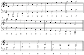 In music theory, a scale is any set of musical notes ordered by fundamental frequency or pitch. The Elements Of Pitch Sound Symbol And Tone