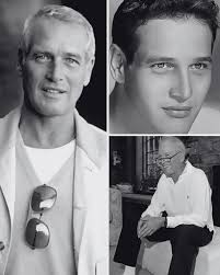 A Night at the Movies