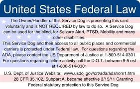 It Is A Service Dog Owners Card That Explains Why The Card Holder Has A Medical Need That The Do Psychiatric Service Dog Service Dog Training Service Dogs Gear