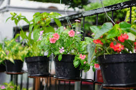 Compare and also complete with the many flowers versions and choose how to beautify your garden 54 best balcony basics images on pinterest | the great outdoors … regarding outdoor plant pots wayfair view photo 2 of 25. 7 Materials Used For Plant Containers