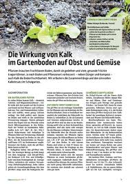 Wann sie ihren garten kalken sollten und wie man es richtig macht. Kalkwirkung Im Garten