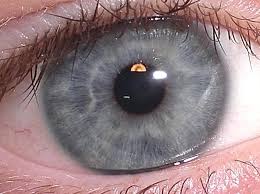 J'ai les yeux marrons claires mais au. Deux Parents Aux Yeux Marron Peuvent Avoir Un Enfant Aux Yeux Bleus