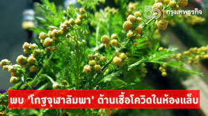 Jul 24, 2016 · m. 2dnfrhndt3gjrm