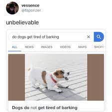 Ignore the barkingwhen you put your dog in their crate or in a gated room, turn your back and ignore. Facebook