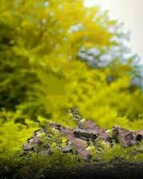 Lightroom Background Png Lightroom Everywhere If you blur out an object that you want to keep sharp, use the adjustment brush and paint back over the object with. lightroom background png lightroom