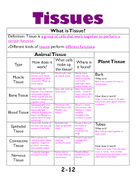 We did not find results for: What Is Tissue Lisle Cusd 202