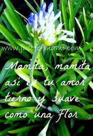 Pin En Dia De Las Madres
