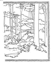 Ecosystems Regions Forest Section 14 Coloring Pages Forest Coloring Pages Coloring Pages Winter