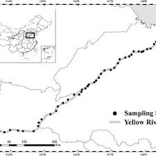 PDF) Environmental Filtering Drives Plant Community Assembly Processes in  the Riparian Marsh of Downstream Yellow River, China