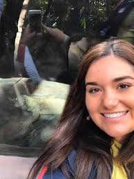 Komodo dragons are the largest lizards in the world. Our girl Indah is a  cutie every day💚