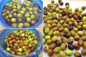 Olive In Salamoia Ricetta Olive In Salamoia Di Misya