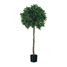 We create such authentic looking imitations they're literally faux real. Artificial Sweet Bay Ball Tree 135cm 4ft Green Real Looking Artificial Flowers