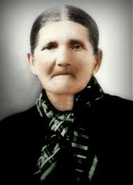 Nancy Jane Osburn Blevins (1832-1917)