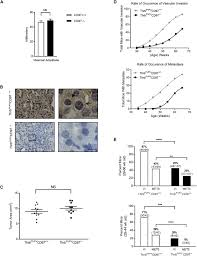Kpk dari 36, 56, dan 84 adalah. Platelets Promote Metastasis Via Binding Tumor Cd97 Leading To Bidirectional Signaling That Coordinates Transendothelial Migration Sciencedirect