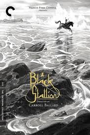 Tratto dal romanzo omonimo di nicholas evans ; Black Stallion 1979 Streaming Italiano In Altadefinizione
