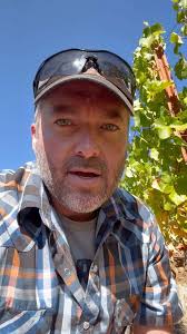 Getting fruit from the Terry Vineyard! This was such a fun vineyard to  plant and farm, and a real treat to get fruit from! Can’t wait to taste  what the amazing 2024 vintage of Terry tastes like! , ...