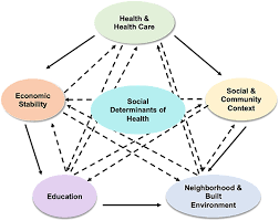 We can classify the factors under global. Frontiers Impact Of Social Determinants Of Health On The Emerging Covid 19 Pandemic In The United States Public Health